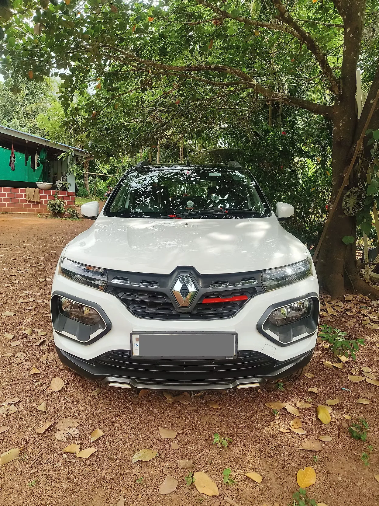 2024 Renault Kwid CLIMBER 1.0 MT [2024-2025] 1