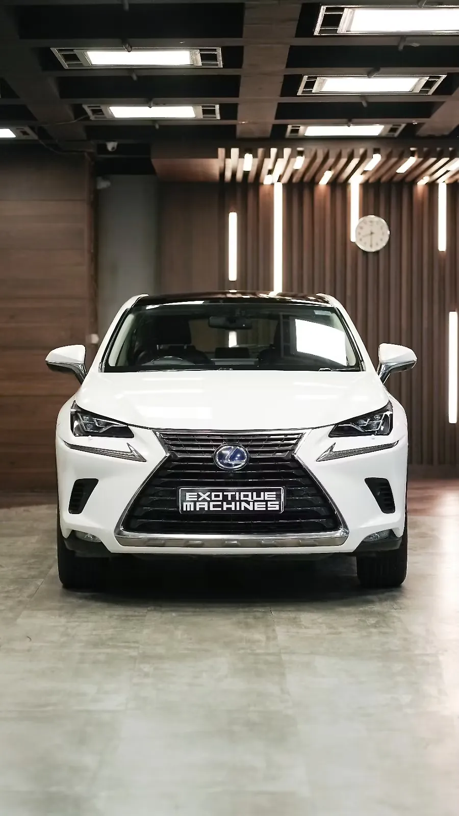 2020 Lexus NX 300h Luxury 1