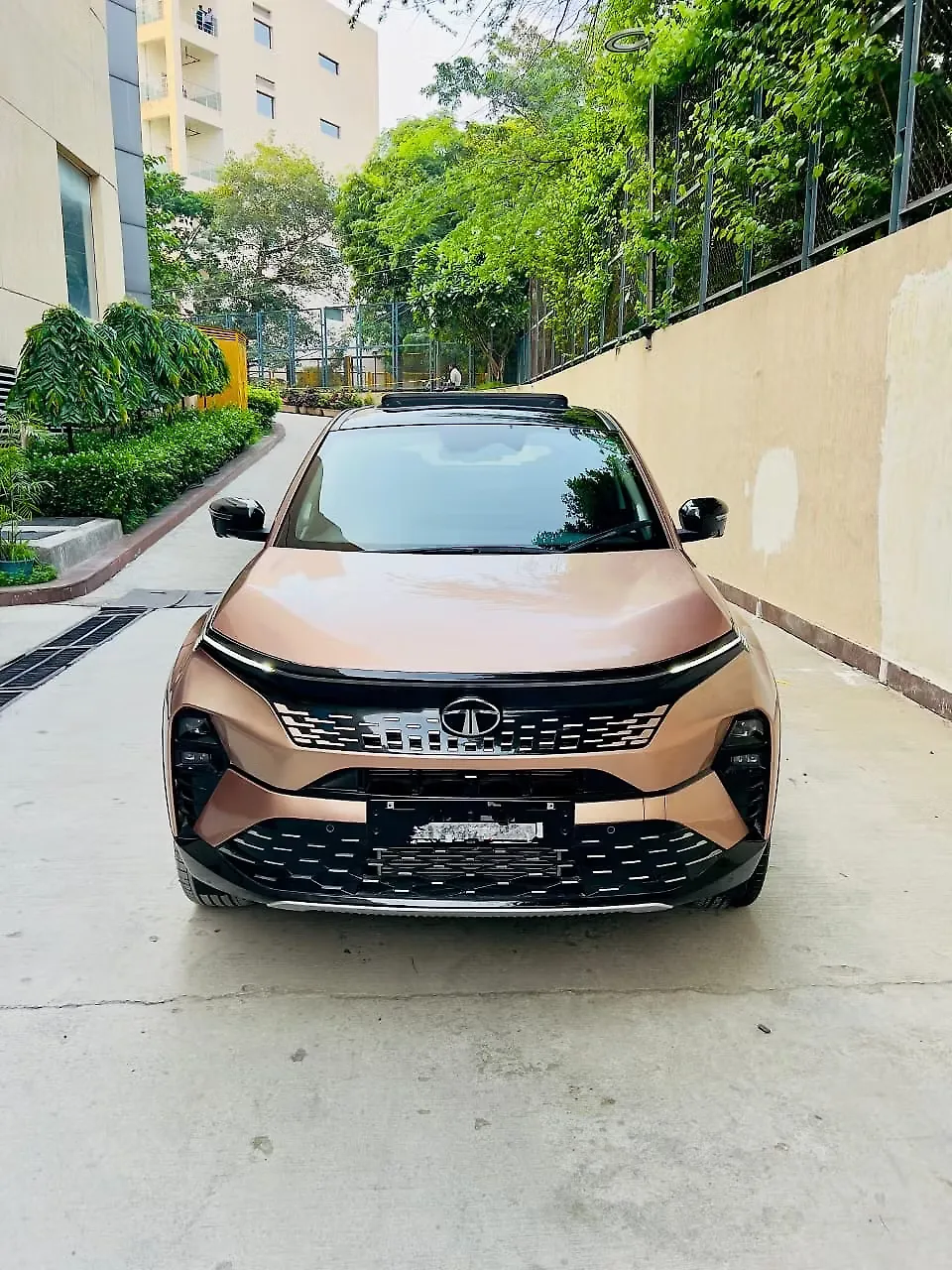 2024 Tata Curvv ICE Accomplished Plus A 1.2 Hyperion GDI Petrol 7DCA [2024-2025] 1