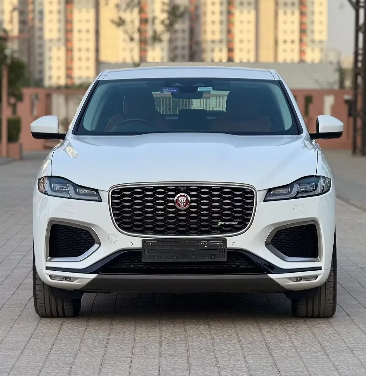 2024 Jaguar F-Pace S R-Dynamic 2.0 Diesel 1