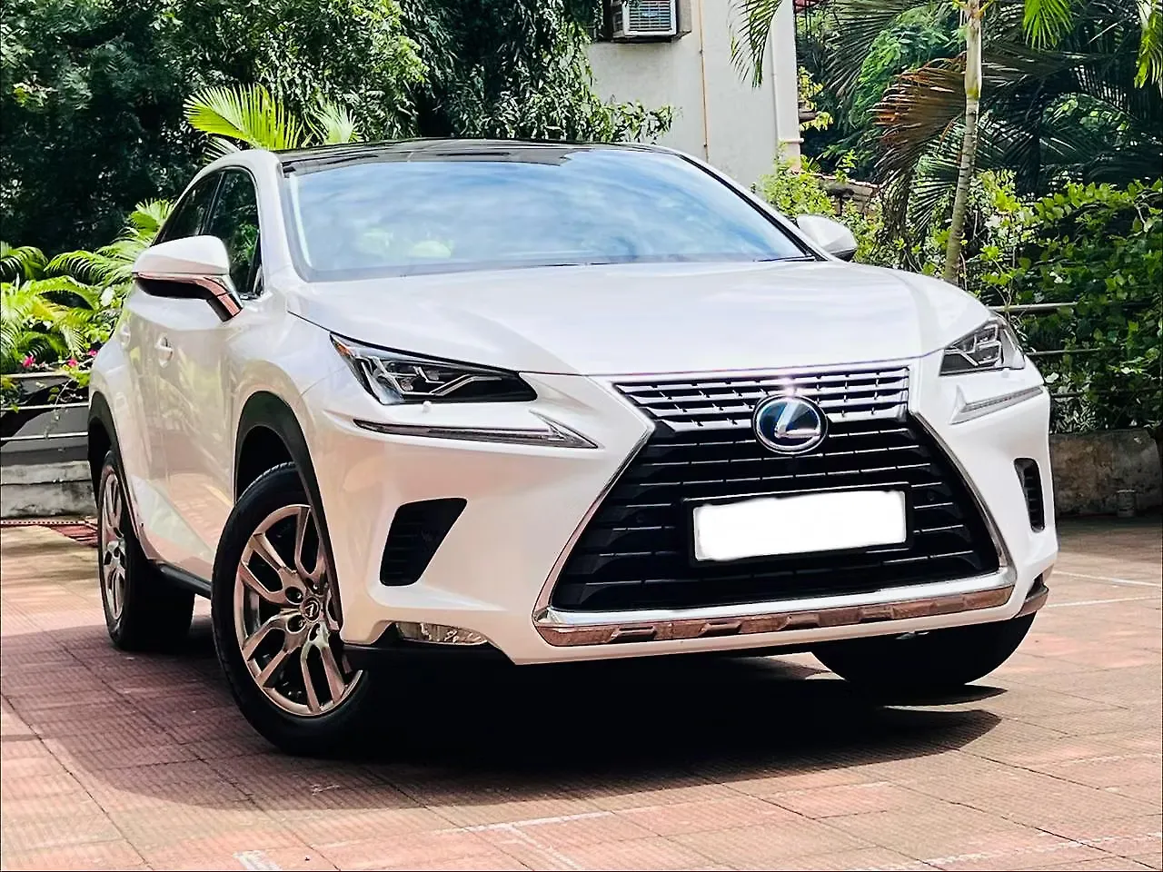 2020 Lexus NX 300h Exquisite 1