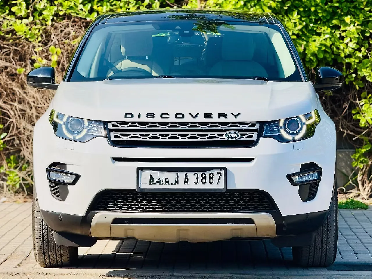 2020 Land Rover Discovery Sport HSE Luxury 1