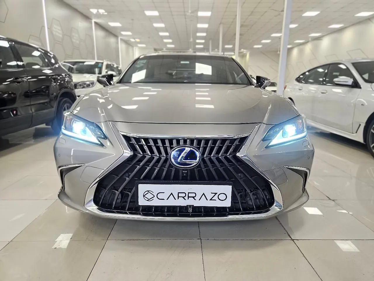 2022 Lexus ES 500e 300h Exquisite 1
