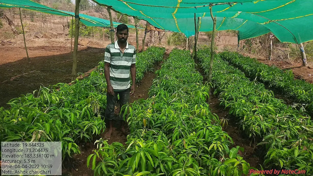 Tribal Development Fund Palgarh Tribal Development Fund Palgarh