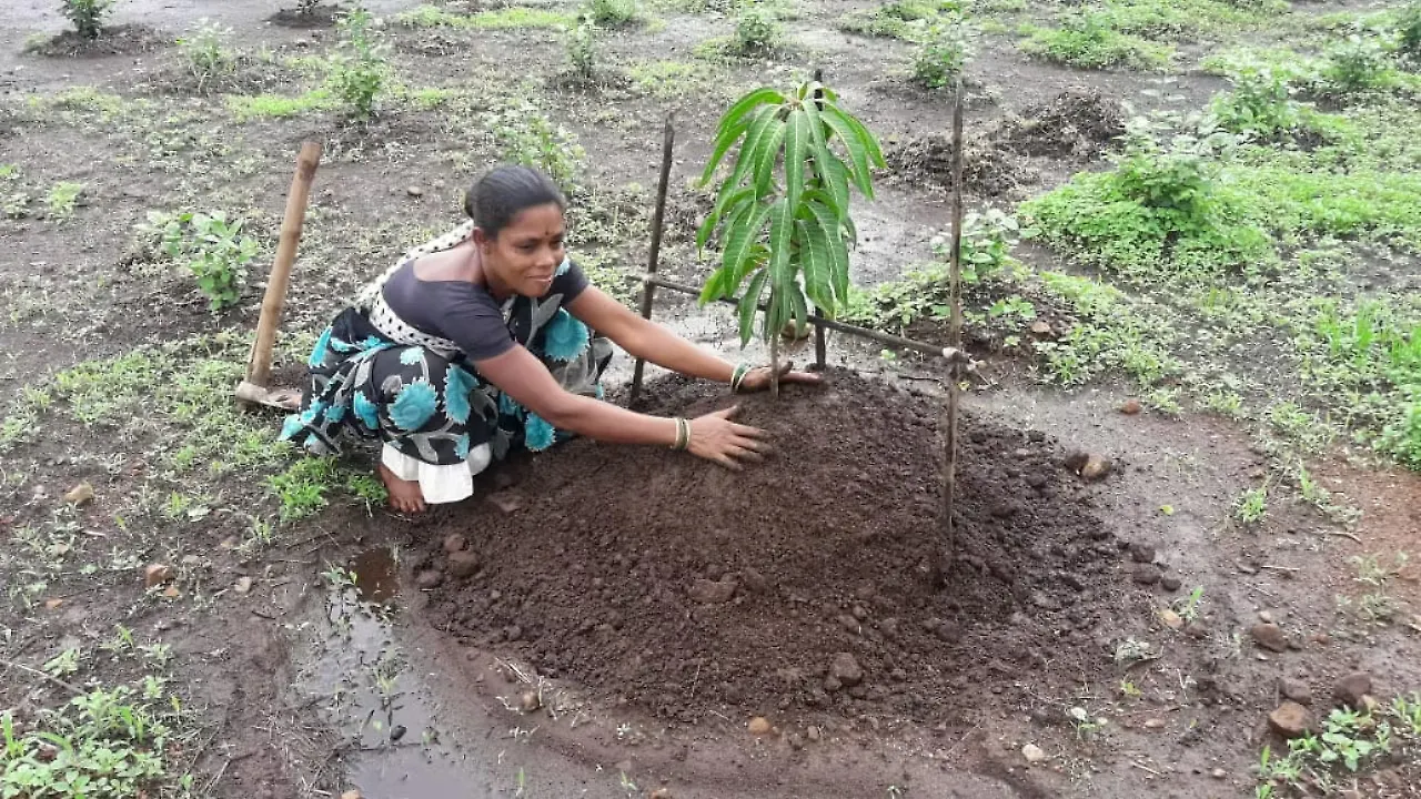 Tribal Development Fund Palgarh Tribal Development Fund Palgarh