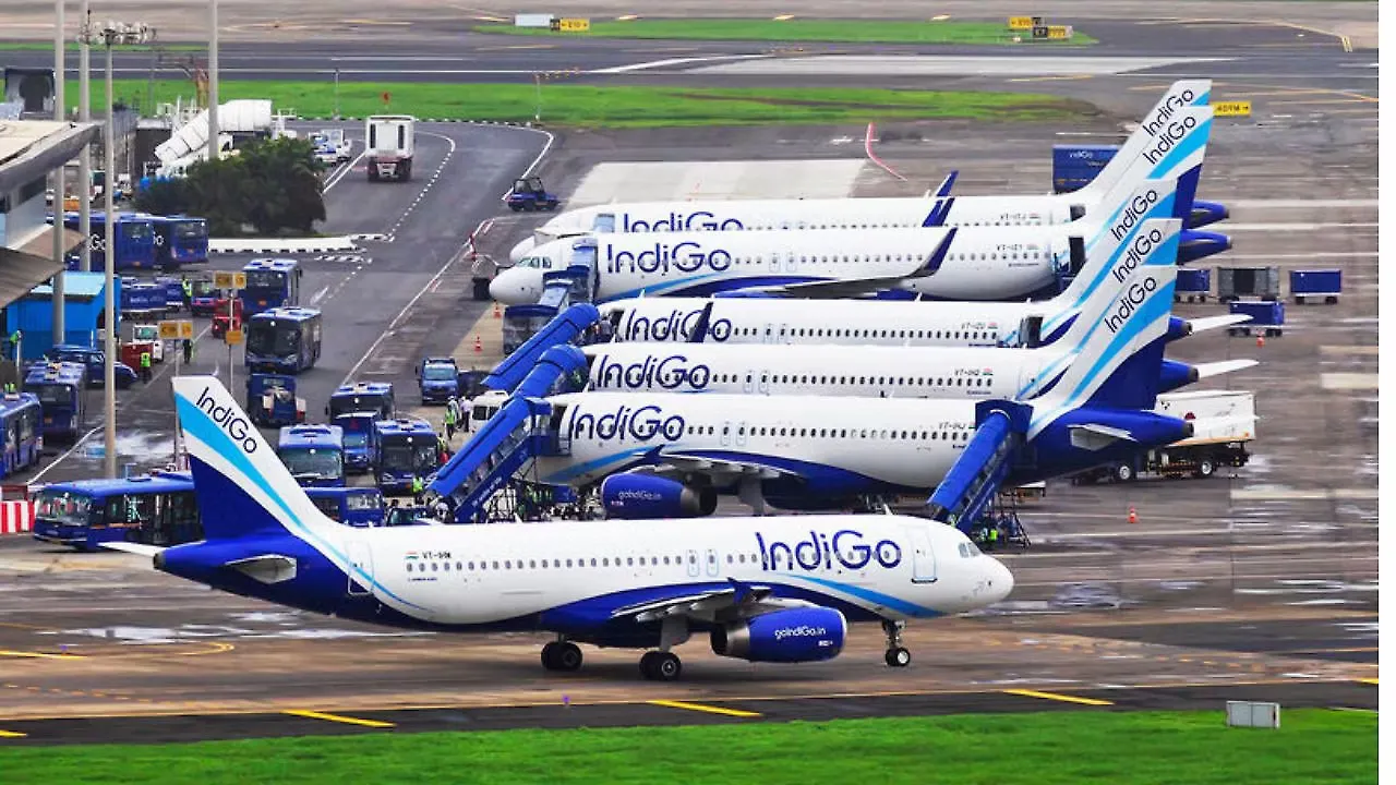 IndiGo IndiGo