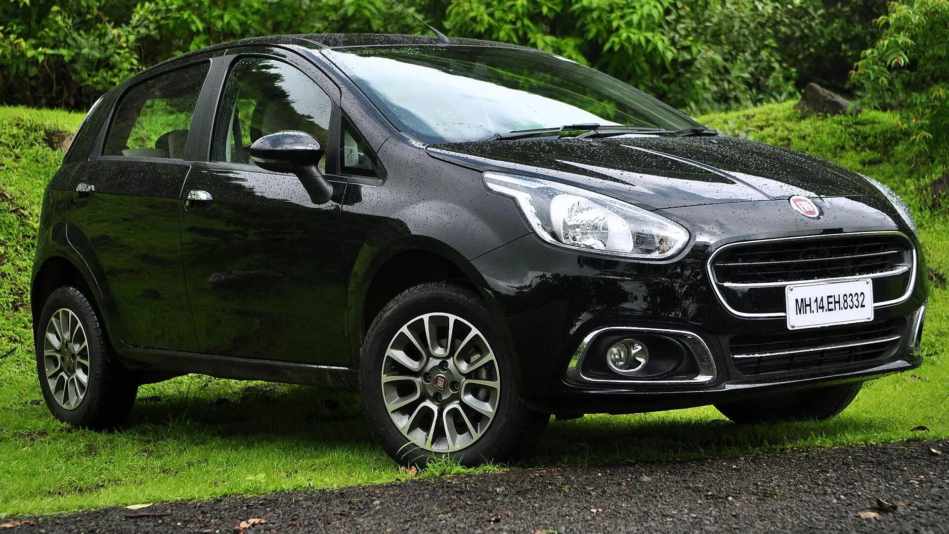 Punto evo sales