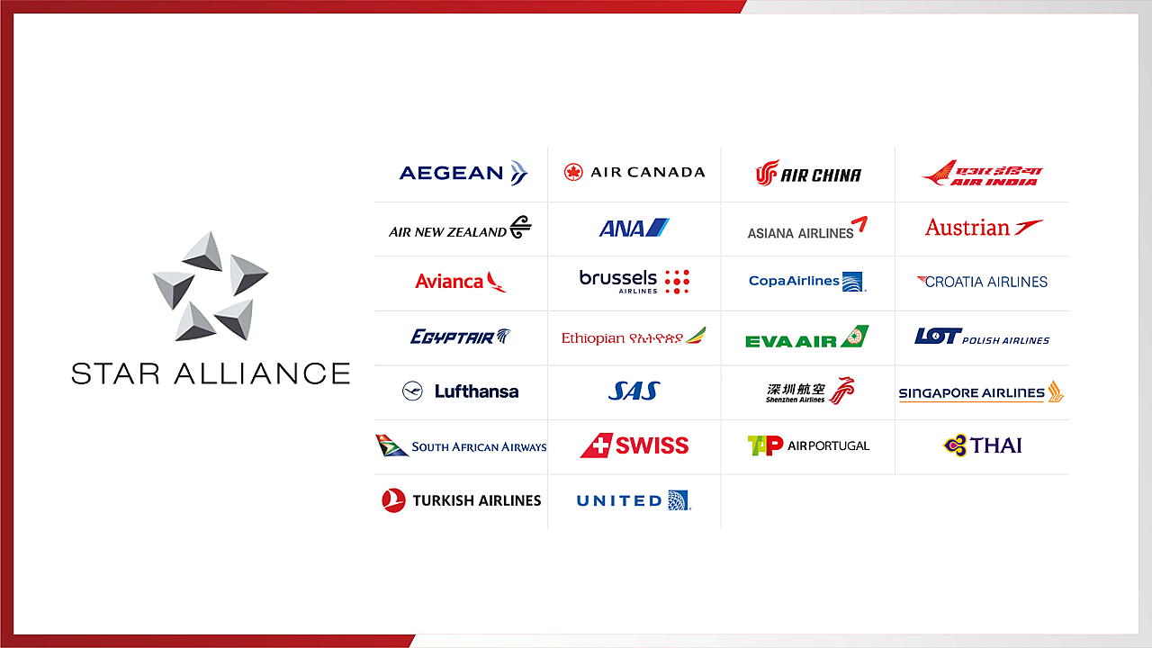 Star Alliance   Infographics0 