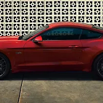 Mustang Image