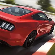 Mustang Image
