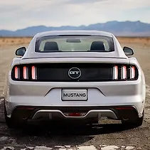 Mustang Image