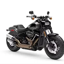 फ़ैट बॉब Image