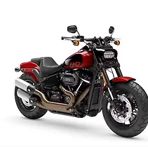 फ़ैट बॉब Image