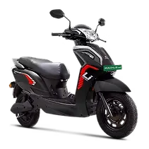 मैग्नस Image