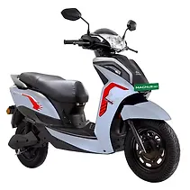 मैग्नस Image