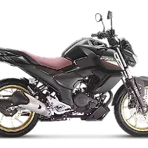 FZ S FI Image