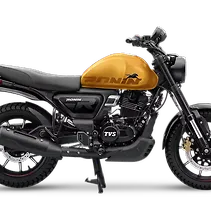 Ronin Image
