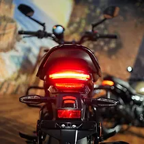 Ronin Image