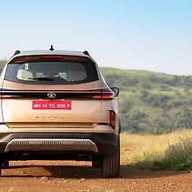 सफारी Image