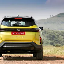 हैरियर Image