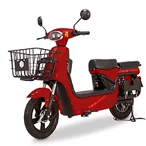 दुलकी चाल Image