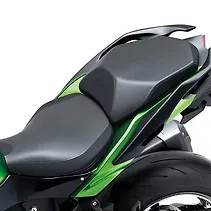 Ninja H2 SX SE Image