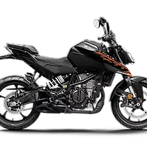 250 Duke Image