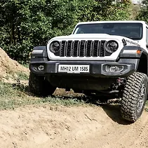 रैंगलर Image