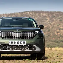 कुशाक Image