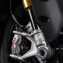 Panigale V2 Image