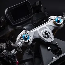 Panigale V2 Image