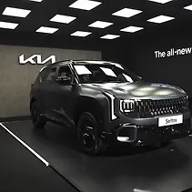 सेल्टोस Image