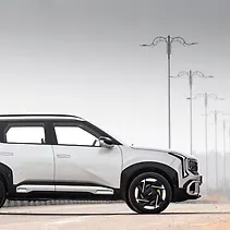 सेल्टोस Image