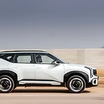 सेल्टोस Image