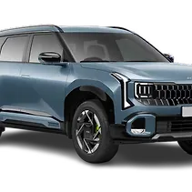 सेल्टोस Image