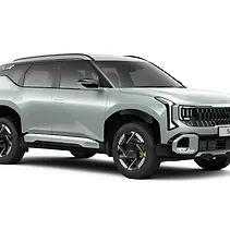 सेल्टोस Image