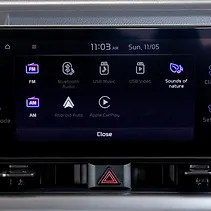 कारेन्स क्लाविस Image