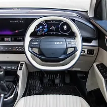 कारेन्स क्लाविस Image