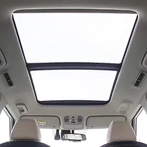 कारेन्स क्लाविस Image