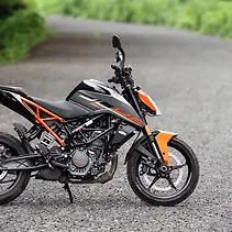 160 ड्यूक Image