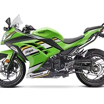 Ninja 300 Image