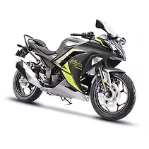 Ninja 300 Image