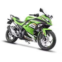 Ninja 300 Image
