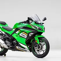 Ninja 300 Image