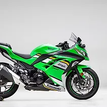 Ninja 300 Image