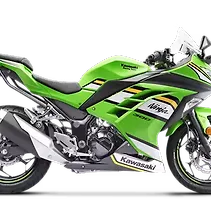 Ninja 300 Image