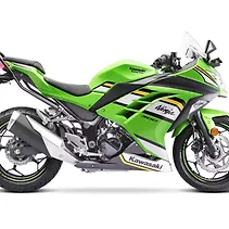 Ninja 300 Image