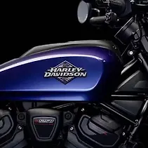 स्पोर्टस्टर S Image