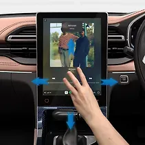 हेक्टर Image