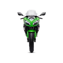 निन्जा 300 Image